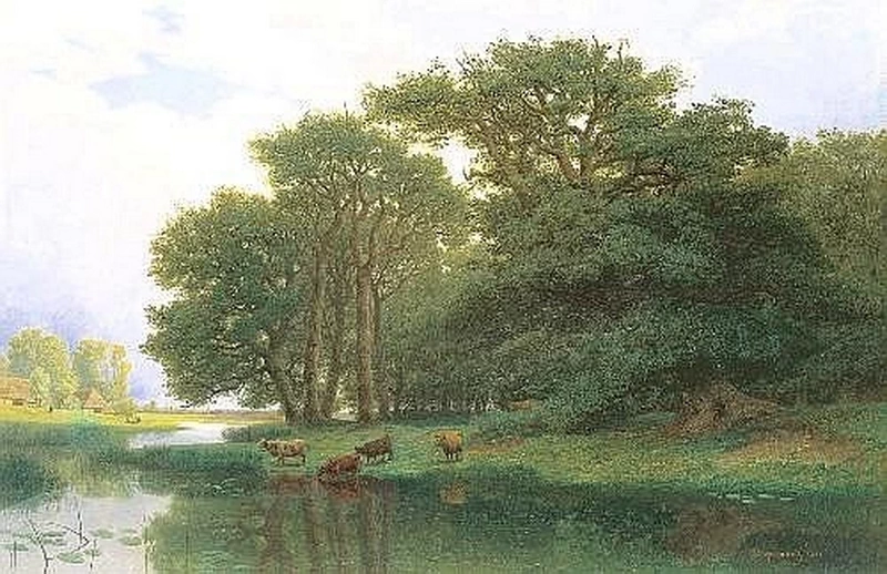 Paesaggio fluviale